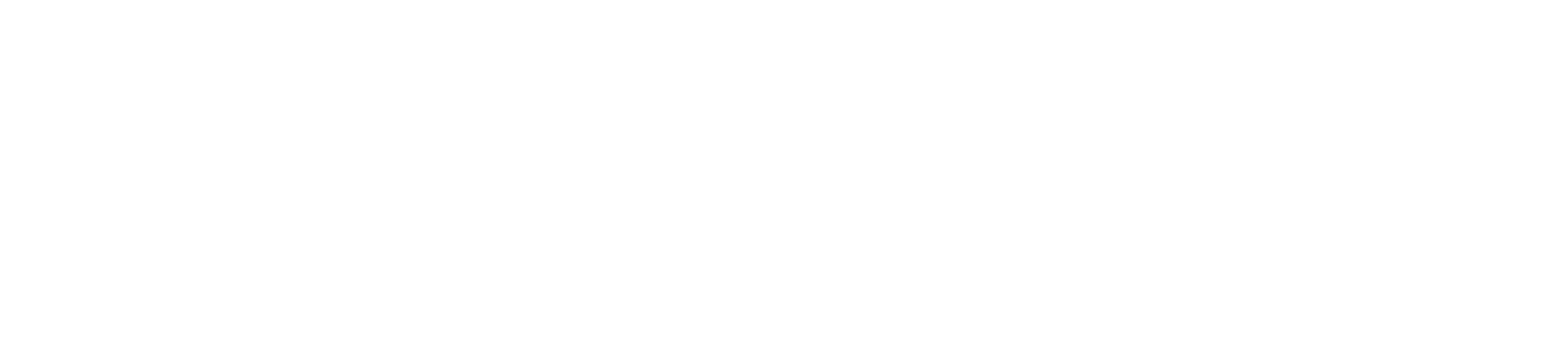Nachlass Portal Logo